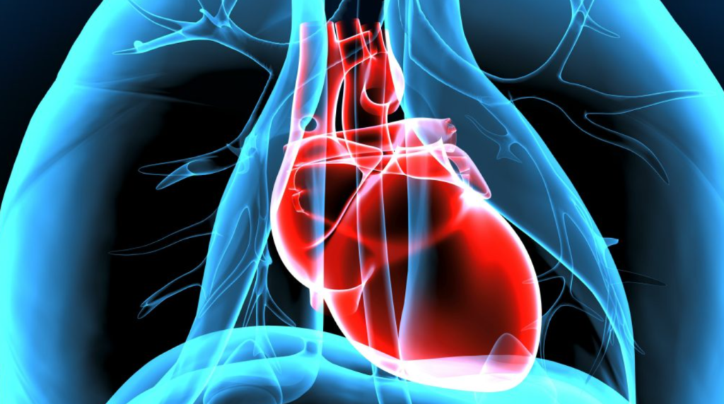 Heart disease, its causes, risk, and prevention learn in detail. 